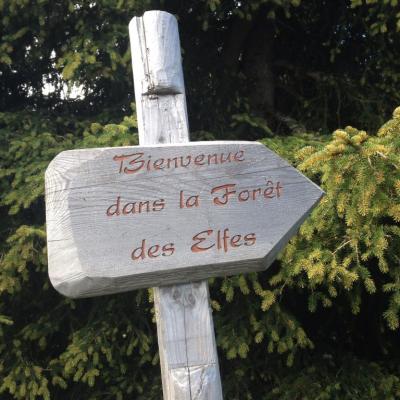 Forêt des elfes