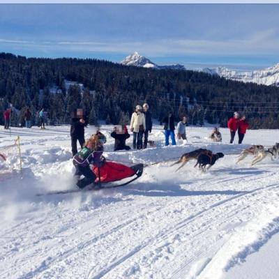 Championnat de France de Course de Chien de Traîneau aux Saisises 
