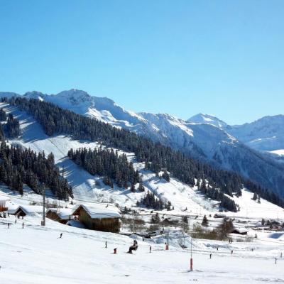 les saisies 2013.1