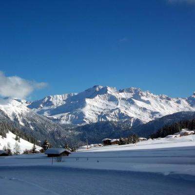 les saisies 2013.2