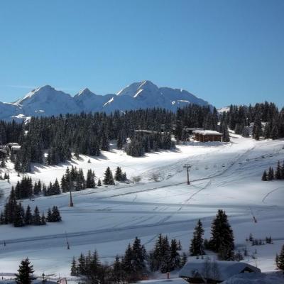 les saisies 2013.4