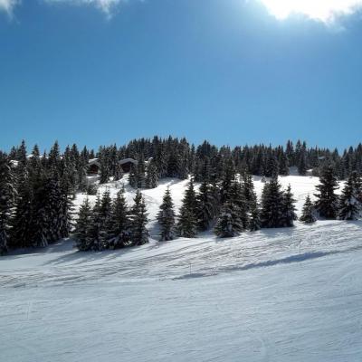 les saisies 2013
